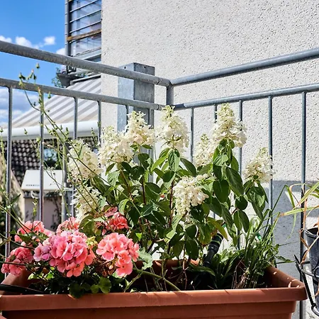 Seeglueck Altstadt Refugium アパート *