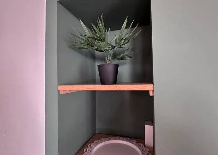 Seeglueck Altstadt Refugium Radolfzell am Bodensee